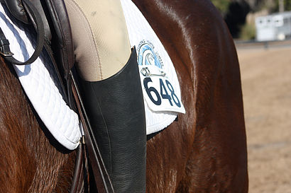 Recognizing Overheating in Your Horse