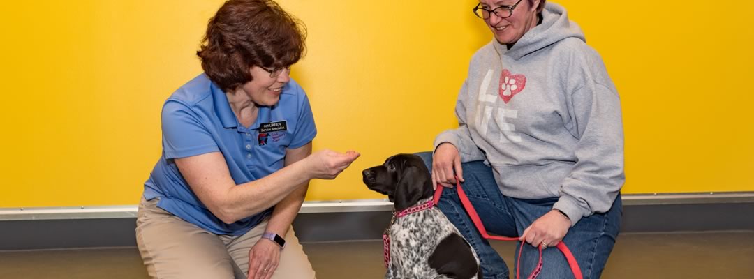 lodi-vet-puppy-training