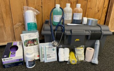 Your Horse’s First Aid Kit